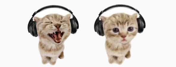 important info about me